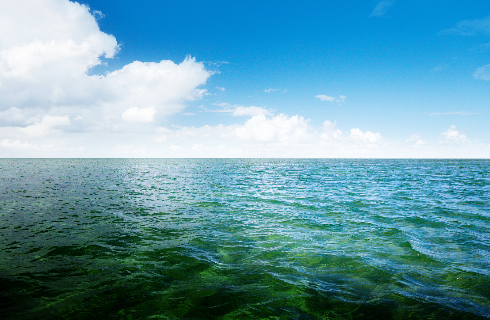 Equatic Secures $11.6m to Advance Seawater Electrolysis and CO₂ Removal
